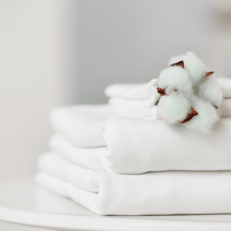 Untitled design (73) Untitled design (73)